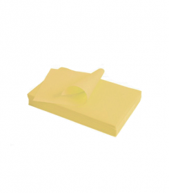 PROTECTION PAPIER POUR PLATEAU 28X18CM (250) - MEDIBASE
